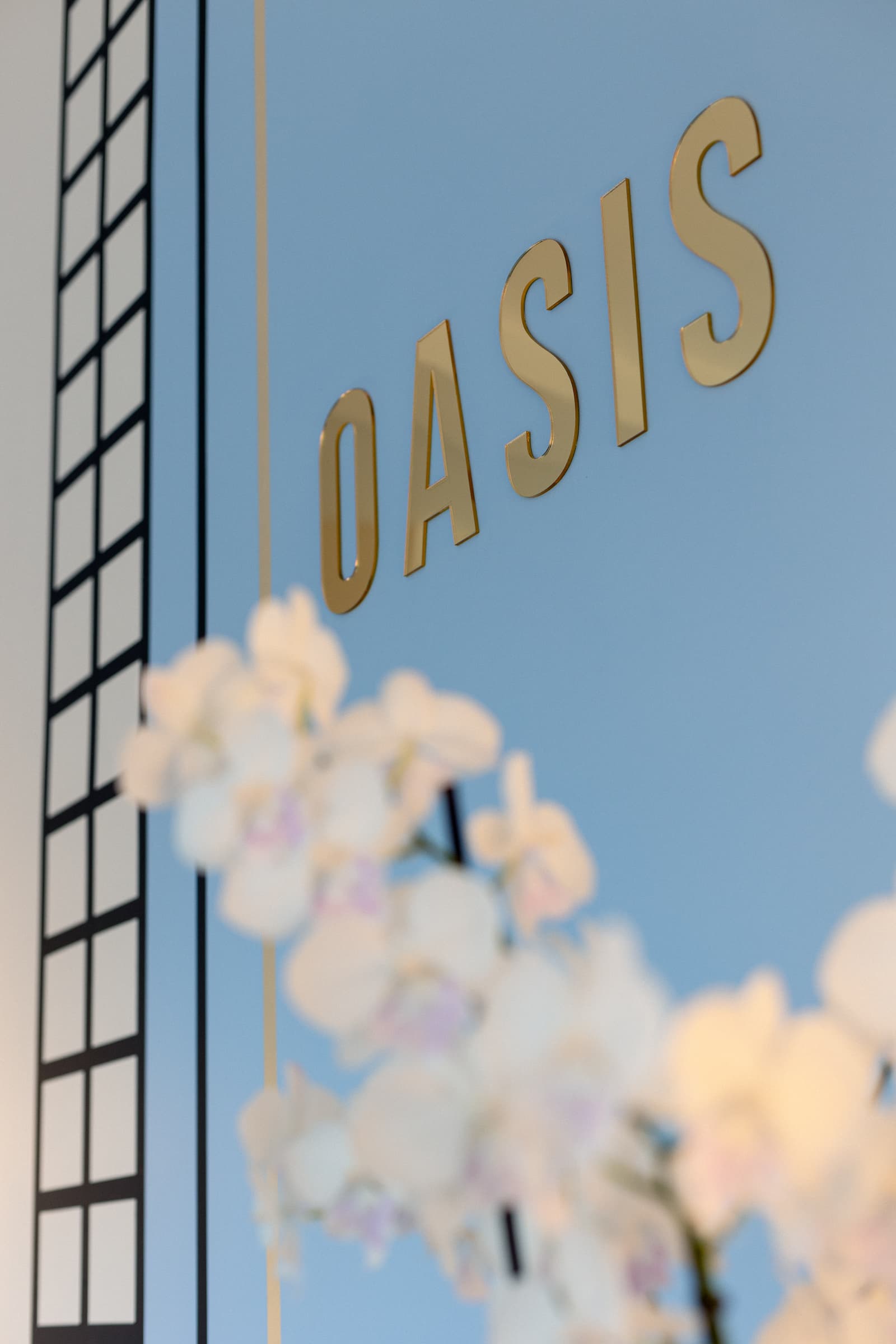 Oasis Skin Shop - Official Skincare Store in Amsterdam