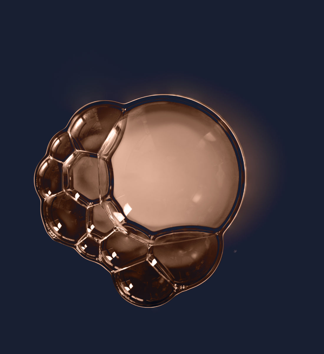 Extraits Tissulaires Serum