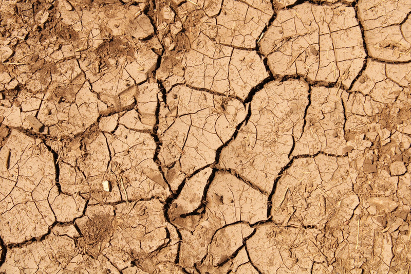 Dry skin