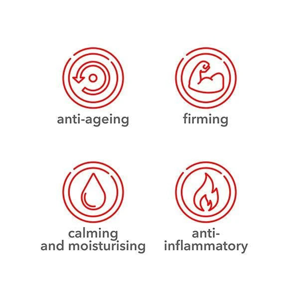 Meder Hydra-Fill Moisturizing  Mask – Hyaluronic Acid Mask for Glass Skin